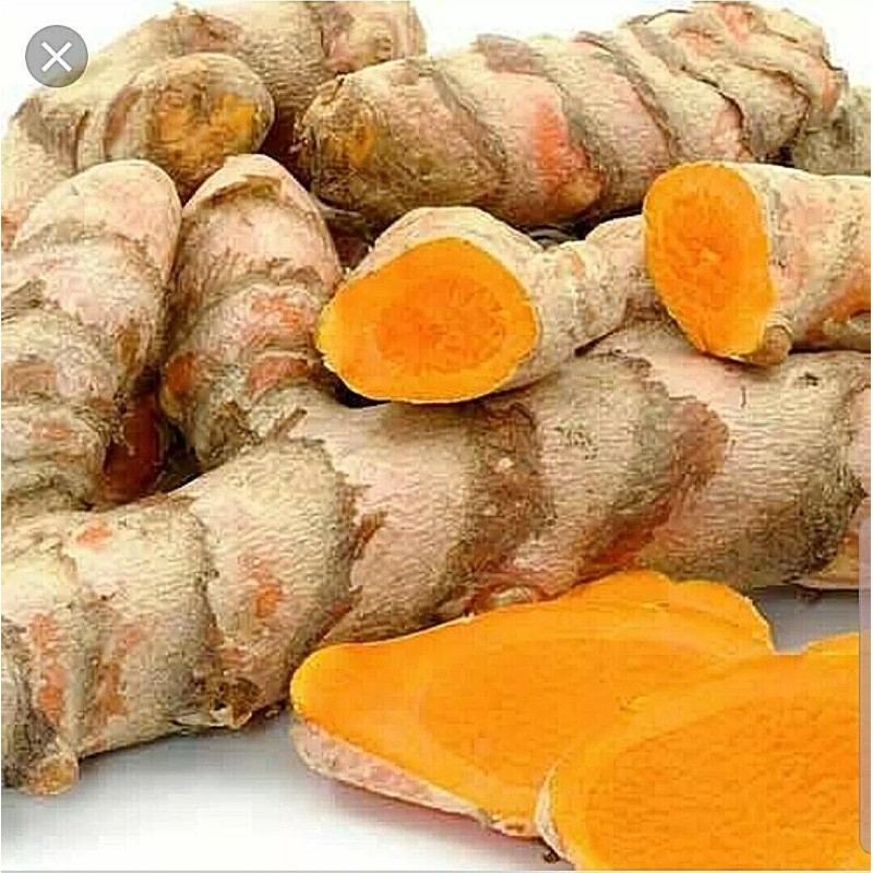 Roots Organic Turmeric Roots 8oz, Certified USDA, Fresh, Boost your