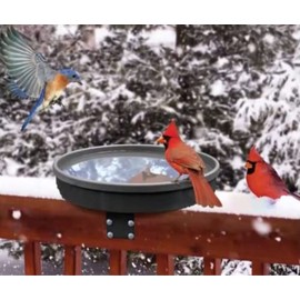 Songbird Spa Heated Birdbath