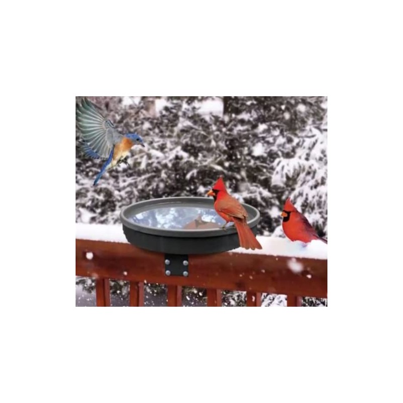 Songbird Spa Heated Birdbath
