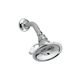 American Standard 8888.079.002 Enfield Adjustable Brass Showerhead, Polished Chrome