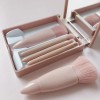 Set 5 Brochas De Maquillaje Portátil Con Estuche Y Espejo