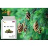 Pine Bark Extract 250 mg | 90 Vegan Capsules |