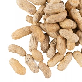 Hampton Farms Bulk Supply 25 lb. Gluten Free Roasted Salted In-Shell Peanuts