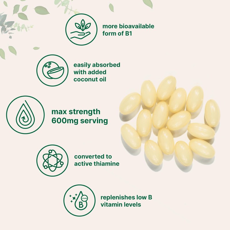 Micro Ingredients Vitamin B1 Benfotiamine 600mg Per Serving, 240 Coconut