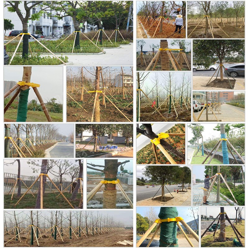Tree Stake Kit Adjustable Plastic Support Staking for Young Tree