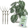 Twigs GA - Stackable Plant Support Stakes, Indoor & Outdoor
