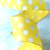 RG Expressions White Polka Dot Yellow Satin 2.5" x 5