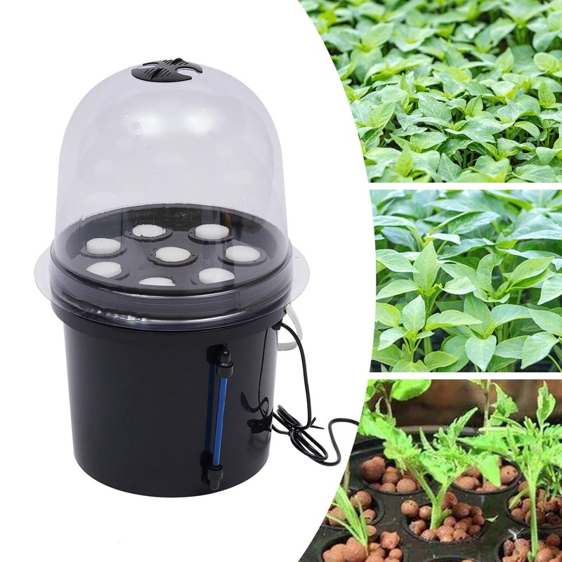 SHZICMY Hydroponic Box 8 Holes Hydroponic System Grow Kit Hydroponic
