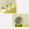 Pet Water Food Bowls 3 in 1 Prevent Slip Tilted