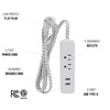 Clear Power 6 ft 2 Outlet + USB Charger Indoor