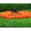 Artificial Flower Marigold Flower Garland 5 String Party Genda phool