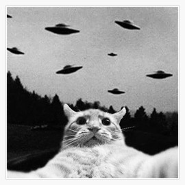 Magnet Alien UFO Funny Cat Selfie Magnetic Vinyl Sticker 5"