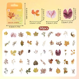 50PCS Autumn Fallen Leaves Mini Boxes Stickers,Fallen Leaves Theme Stickers for Scrapbooking, DIY Crafts, Laptops,Journal,Gifts for Kids Teens Girls Adults
