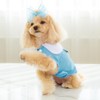 PETRIUM Dog Cooling Vest - Cute, Lightweight, Breathable, Reflective Cooling