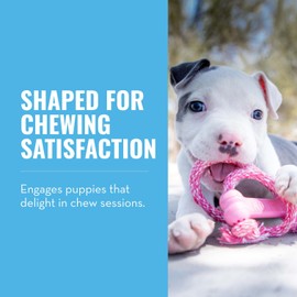 KONG Puppy Goodie Bone with Rope - Natural Rubber Bone with Cotton Rope - Teeth Cleaning Chew Toy for Growing Puppies - for XS Puppies - Pink