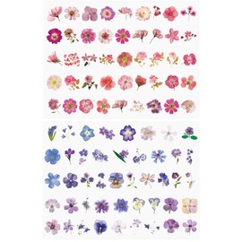 FRAINBOWZ 90Pcs Flower Sticker Set, Transparent and Natural Colors for Scrapbooking, Craft Card, Notebook, Diary and DIY Craft Projects