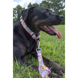 Country Brook Petz Martingale Dog Collar - Heavy-Duty Training Collar - Vibrant Floral Collection with Charming Designs - May Flowers, Small