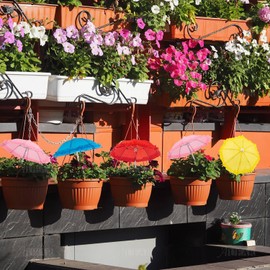 AUEAR, 5 Pack Cute Mini Small Umbrella Bright Varied 5 Color for Photography Props Craft Home Table Decoration