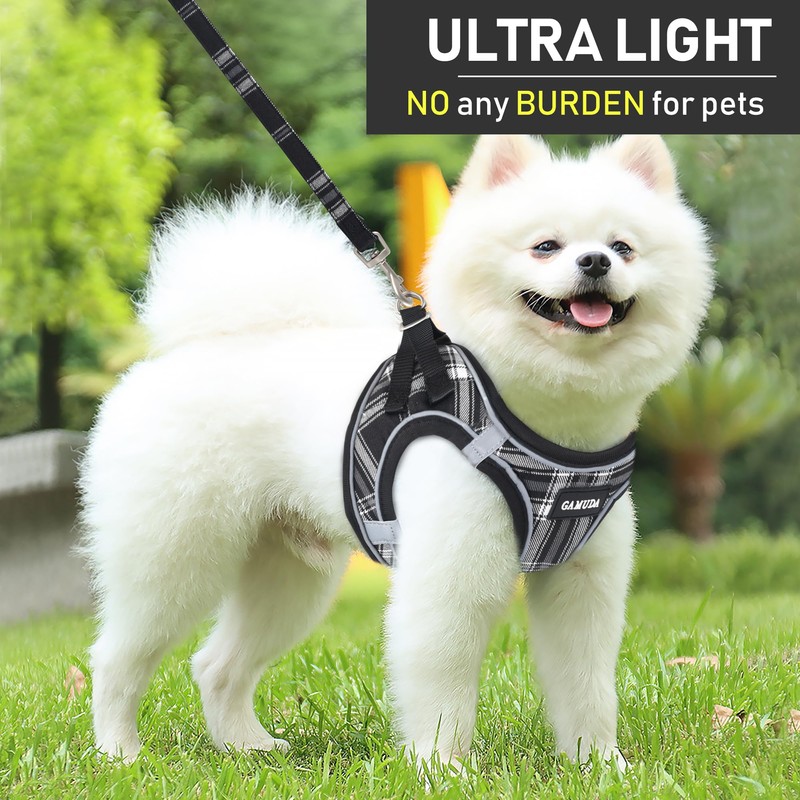 GAMUDA Small Dog Harness Collar and Leash Set, Step in