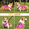 VOOPET Escape Proof Dog Harness, Soft Padded Full Body Pet