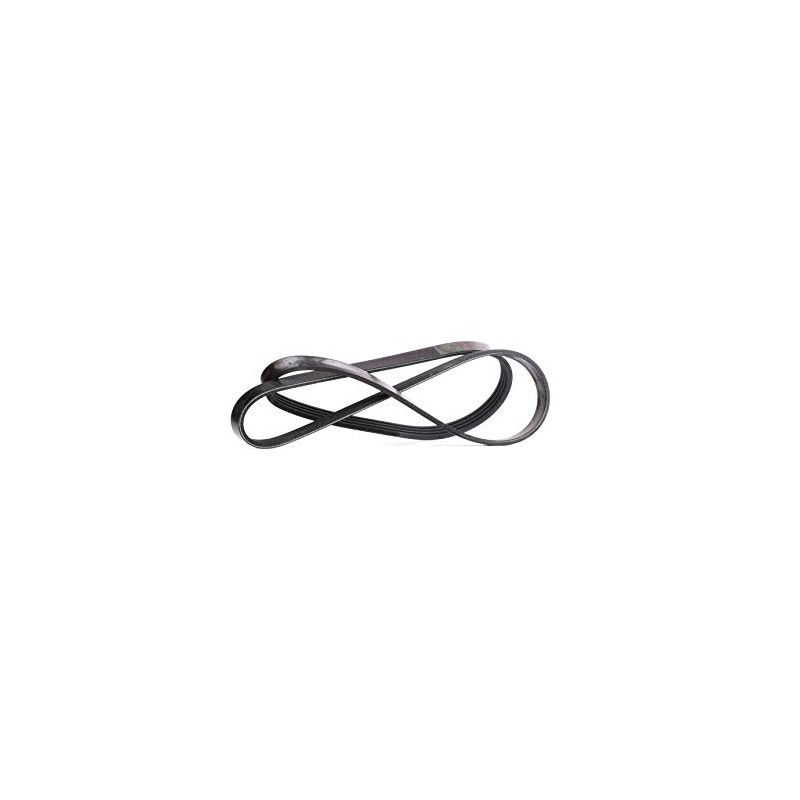 febi bilstein 28810 V-Ribbed Belt, Number of Ribs 4, Pack