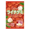 Kasugai Gummy Candy, Lychee, 3.59 Ounce
