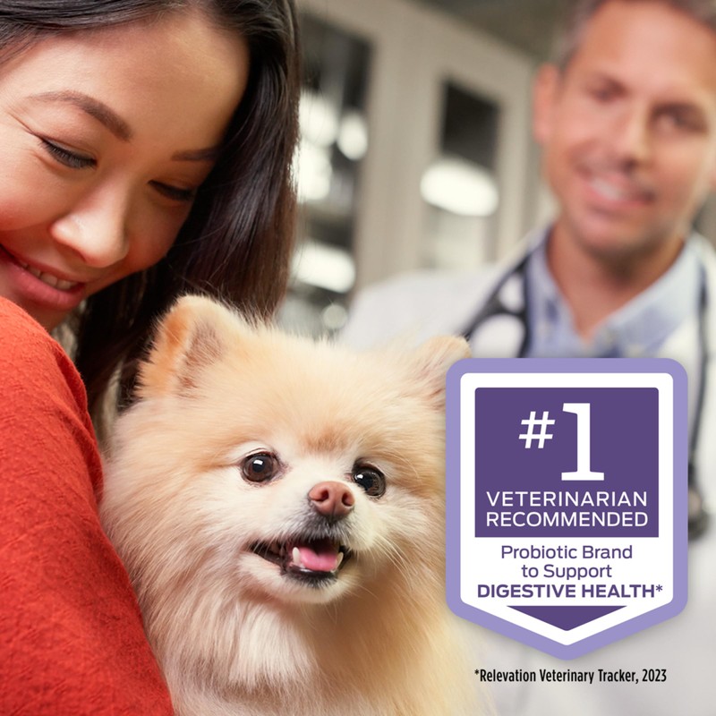 Purina Pro Plan Veterinary Supplements FortiFlora Canine Probiotics for Dogs,