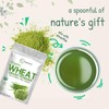 Micro Ingredients Organic Wheat Grass Powder
