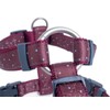 Petface Petface Ditsy Spot Dog Harness, Ox Blood, Large, L