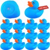 Lenwen 12 Pcs 2.2 Inch Waterproof No Hole Rubber Ducks