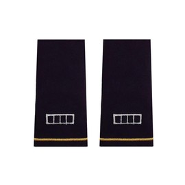 Insignia Depot US Army Warrant Officer 4 Rank - CW4 (Male Shoulder Mark Epaulets)