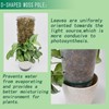 10ft/20ft/40ft DIY Metal Mesh Sphagnum Moss Pole Monstera Plant Support