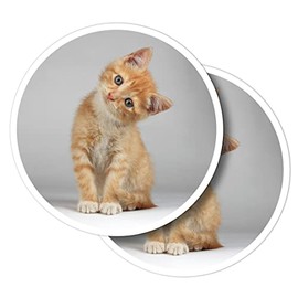 Vinyl Round Stickers (Set of 2) 10cm - Cute Ginger & White Kitten Cat for Laptops, Tablets, Luggage, Scrap Booking, Fridges #63073
