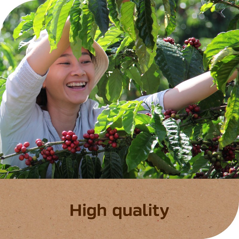 NESCAFÉ Taster's Choice, Instant Coffee Packets, Light Medium Roast Coffee,