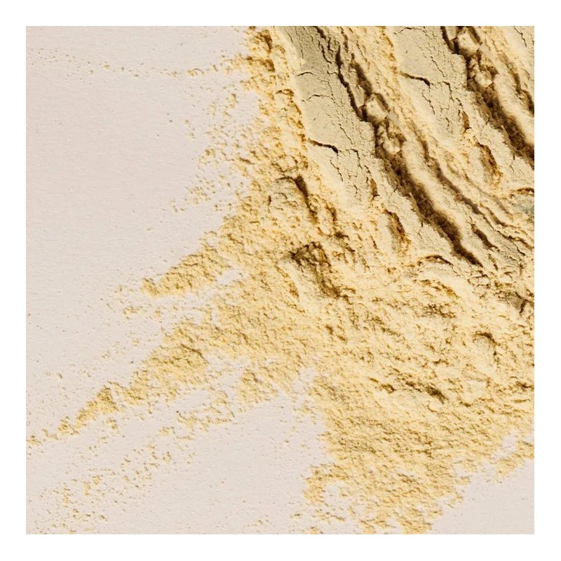 WelleCo Nourishing Protein - Vanilla 300g