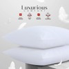 LYMA Bedding Pillow Cases 2 Pack, Ultra Soft Breathable Housewife