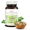 Wormwood Tablets, 600 mg Active Ingredient (Artemisia Absinthium, Bitter Mugwort),