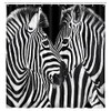 Zebra Print Shower Curtain Black and White, Cute Zebra Animal