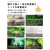 乳酸菌1日1兆 サプリメント 耐酸性カプセル 乳酸菌30兆個 ロイテリ菌 乳酸菌生産物質 ダイジェザイム シンバイオティクス オリゴ糖 90粒
