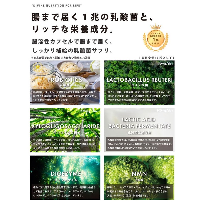 乳酸菌1日1兆 サプリメント 耐酸性カプセル 乳酸菌30兆個 ロイテリ菌 乳酸菌生産物質 ダイジェザイム シンバイオティクス オリゴ糖 90粒