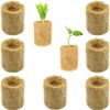 Belvanr Rock Wool Cultivation Pack of 50 Rock Wool Cubes,