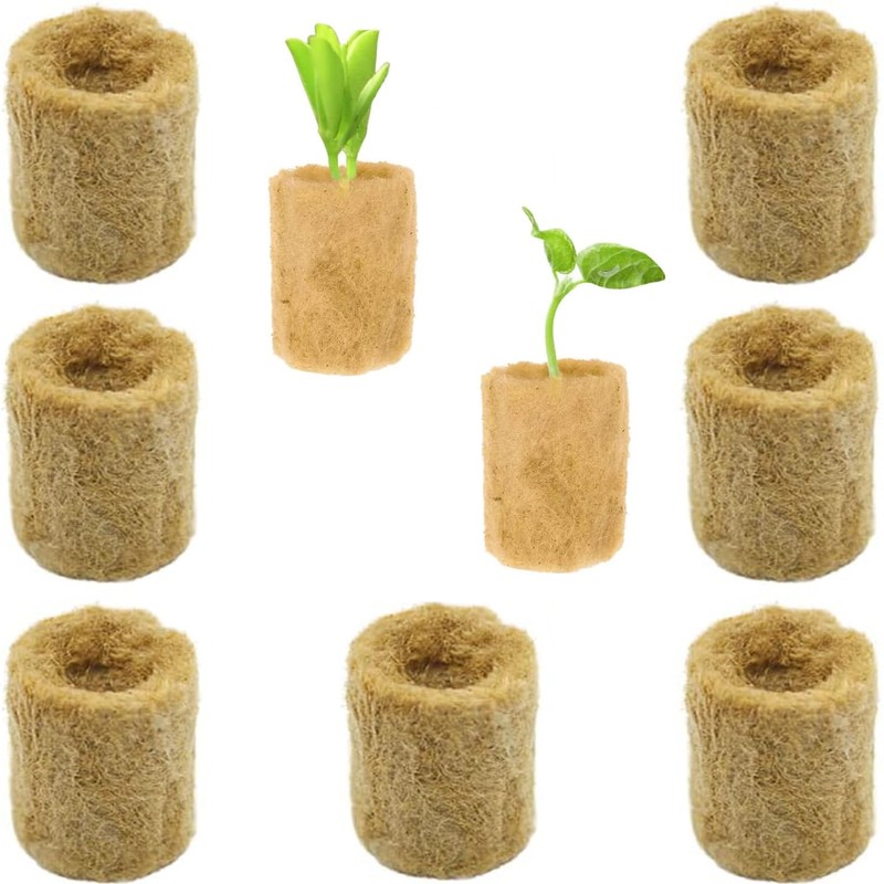 Belvanr Rock Wool Cultivation Pack of 50 Rock Wool Cubes,