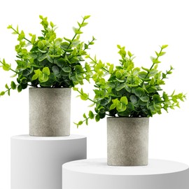 MIXROSE Small Fake Plants Indoor 2 Pack Eucalyptus Artificial Plants in Pot Green Decor Mini Faux Plants for Shelf Desk Home Bathroom Farmhouse Room Coffee Table Decor Greenery
