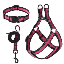 Mile High Life Night Reflective Double Adjustable Band Nylon Small Puppy Pet Dog Combo Collar Leash and Harness Set (Pink2, Small Neck 11"-15" -20 lb )