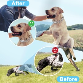 Prong Training Collar for Dogs, Adjustable Dog Training Pinch Collar with Quick Release Buckle, No Pull Collar for Small Medium Large Dogs, Extra Link and Caps (XL (21-26" Neck, 4.0mm))