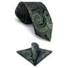 S&W SHLAX&WING Men's Tie Paisley Dark Green Silk Long, Tie
