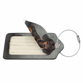 Numland Luggage Tag Funny Dog Dachshund,Stainless Steel Ring Leather Luggage Tag for Travel Bag Suitcase