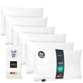 LILENO HOME Pillows as Cushion Filling, Bed or Decorative Sofa Cushions with Zip to Adjust, Washable up to 95 °C, 40 x 60 cm, Set of 6