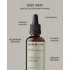 Deep Rest mezcla con Reishi, Melena de León y Stropharia