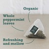 Joe's Tea Co. Proper Peppermint (3x15ct) - Organic Peppermint Tea